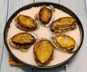 CONGELADO-ABALONE-fresco,-com-casca-e-vísceras03