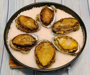 FROZEN-ABALONE-fresh,-with-shell-and-viscera03