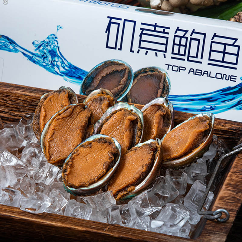 Wholesale FROZEN COOKED MARINATED ABALONE with shell, remove viscera